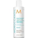 Scalp Balancing Conditioner - Zklidňující kondicionér pro mastnou pokožku hlavy