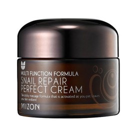 Face cream with snail...