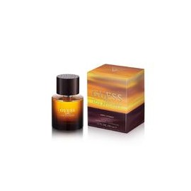 Guess 1981 Los Angeles EDT