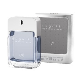 Signature Gray EDT