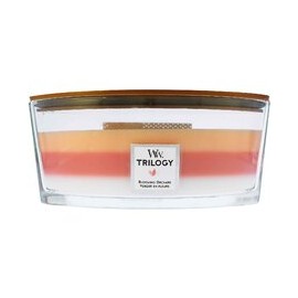 Цветущий Фруктовый Сад...