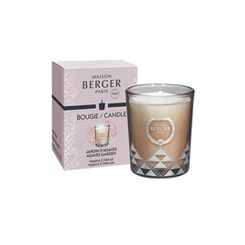 Joy Garden of Agaves Candle...