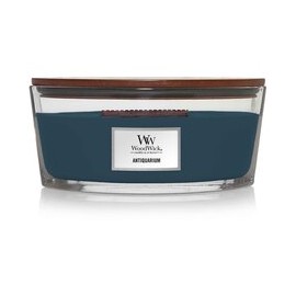 Antiquarium Loď (...