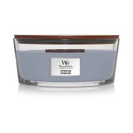 Hypnoflora Loď ( měsíční...