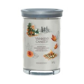 Лес Выходные Воспоминания...