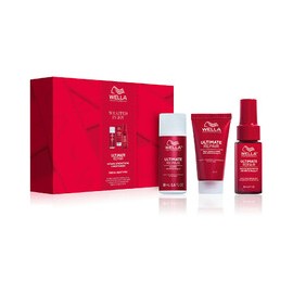 Ultimate Repair Mini Set -...