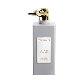 Le Vie Di Milano Walking in...