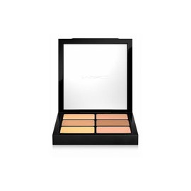 Pro Conceal and Correct...