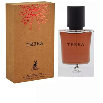 Terra EDP