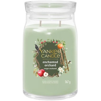 Enchanted Orchard Signature Candle ( kouzelný ovocný sad ) - Vonná svíčka