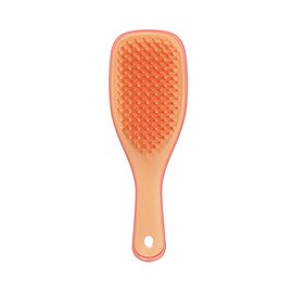 The Ultimate Detangler Mini Salmon Pink Aprico