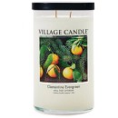Clementine Evergreen Tumbler Candle (Tangerine and Needle)
