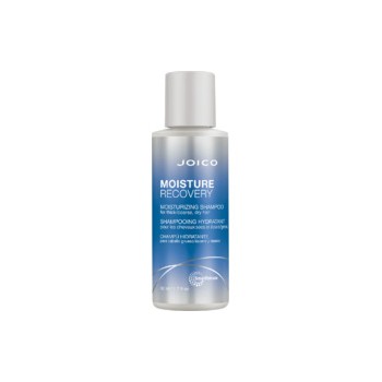 Moisture Recovery Moisturizing Shampoo (dry hair)