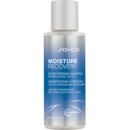 Moisture Recovery Moisturizing Shampoo (dry hair)