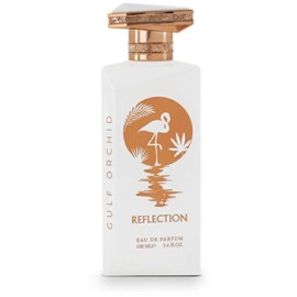 Reflection EDP
