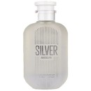 Silver Absolute EDP