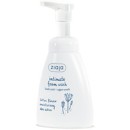 Lotus Flower Foam Wash