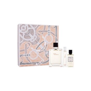 Terre d'Hermes Gift set EDT 100 ml, miniature EDT 15 ml and shower gel 40 ml