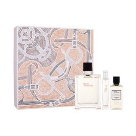 Terre d'Hermes Gift set EDT 100 ml, miniature EDT 15 ml and shower gel 40 ml