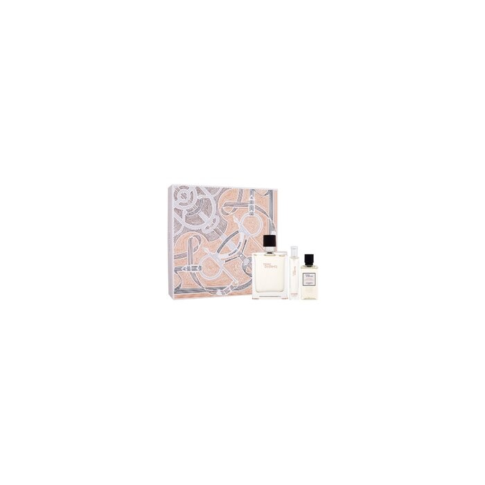 Terre d'Hermes Gift set EDT 100 ml, miniature EDT 15 ml and shower gel 40 ml